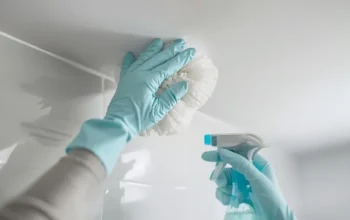Mould From Bathroom Walls and Ceilings