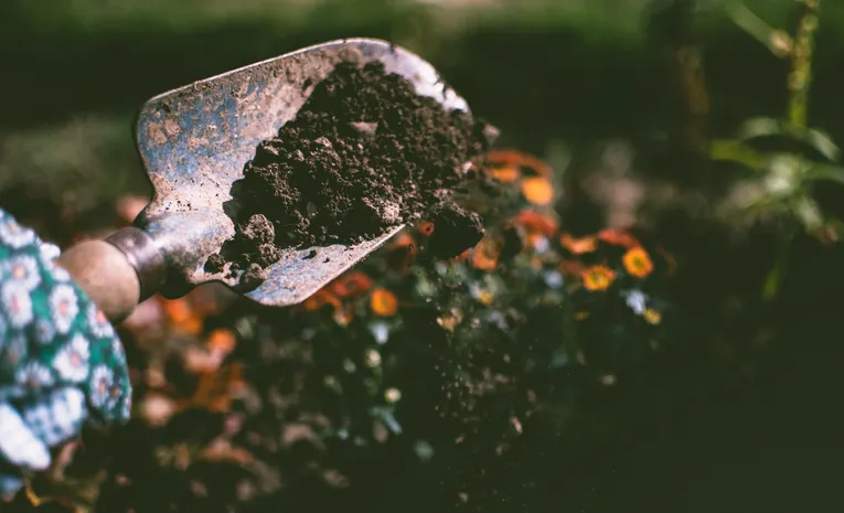 How to Build a Raised Garden Bed: Step-by-Step