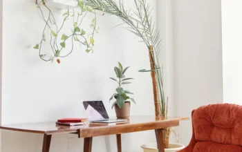 Bright home office desk setup with plants and rug