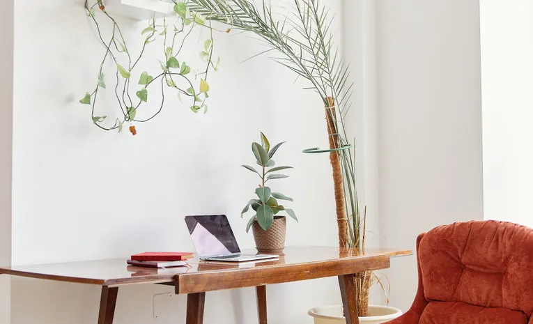 How to Soundproof a Home Office on a Budget